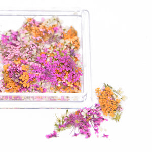 Dried Flowers -  #05