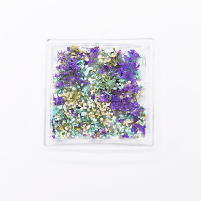 Dried Flowers -  #8