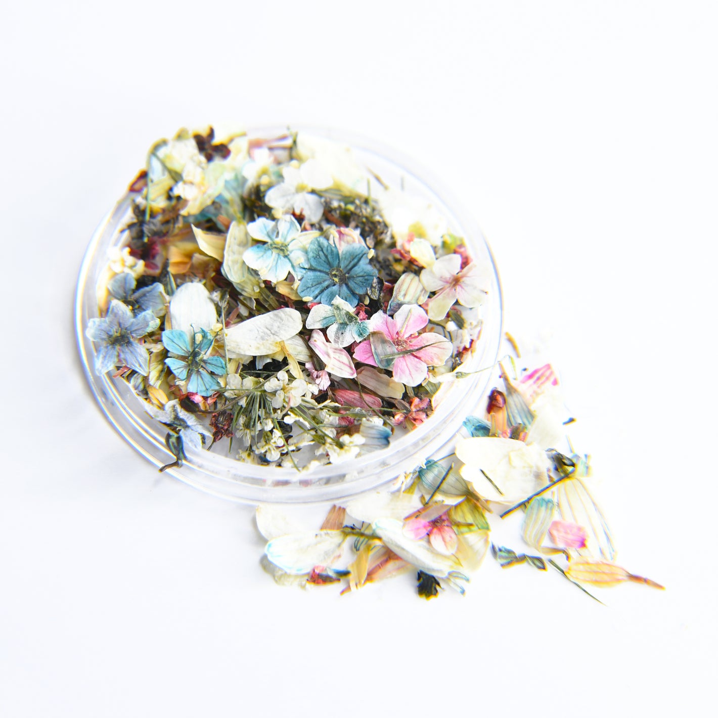 Dried Flowers -  #10